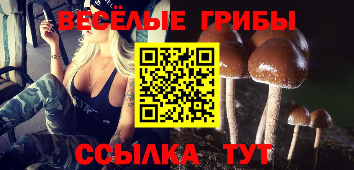 Галлюциногенные грибы прущие грибы Саратов