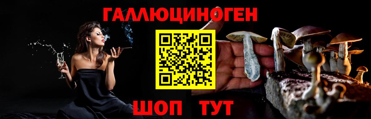 что такое   Псилоцибиновые грибы прущие грибы  Вход с VPN  Саратов 
